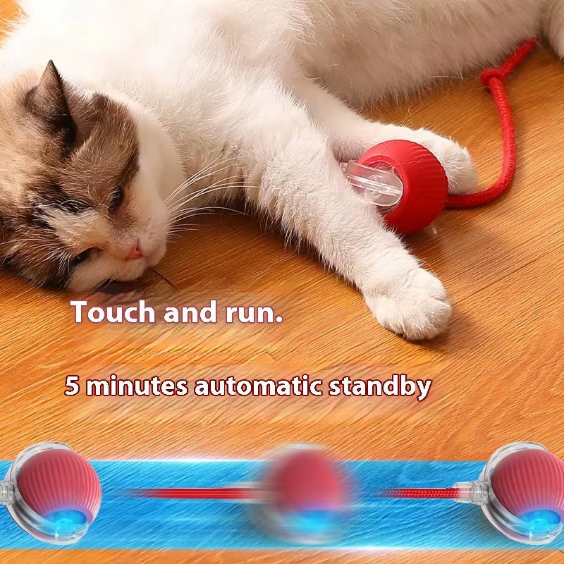 Cat Interactive Ball Toy; Automatic Rolling Ball Pet Toy for Cats and Dogs; Rechargeable Smart Pet Toy; Dog and Cat Training Toy
