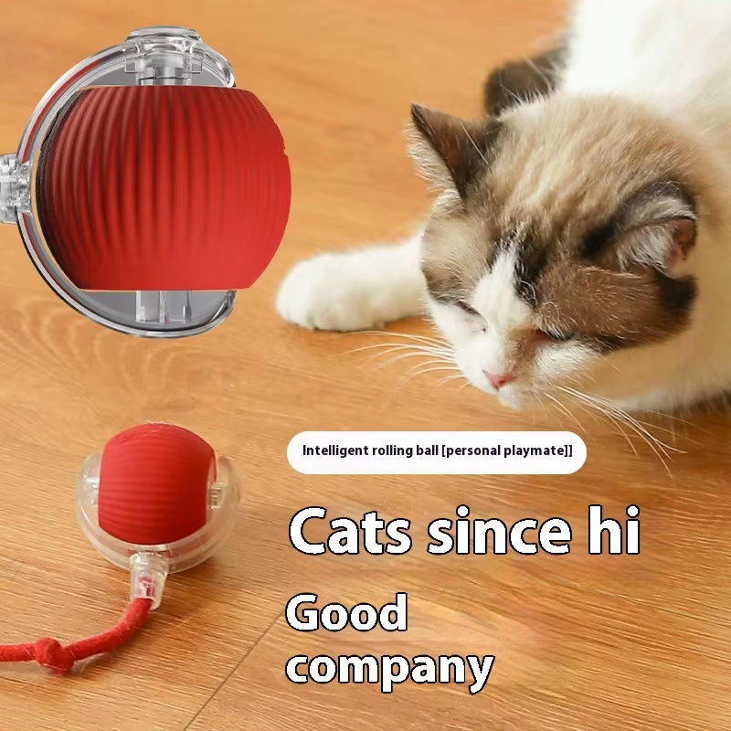 Cat Interactive Ball Toy; Automatic Rolling Ball Pet Toy for Cats and Dogs; Rechargeable Smart Pet Toy; Dog and Cat Training Toy