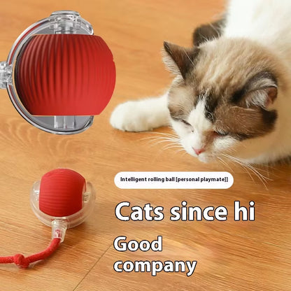 Cat Interactive Ball Toy; Automatic Rolling Ball Pet Toy for Cats and Dogs; Rechargeable Smart Pet Toy; Dog and Cat Training Toy