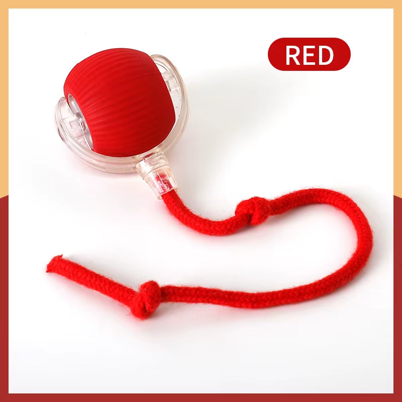Cat Interactive Ball Toy; Automatic Rolling Ball Pet Toy for Cats and Dogs; Rechargeable Smart Pet Toy; Dog and Cat Training Toy