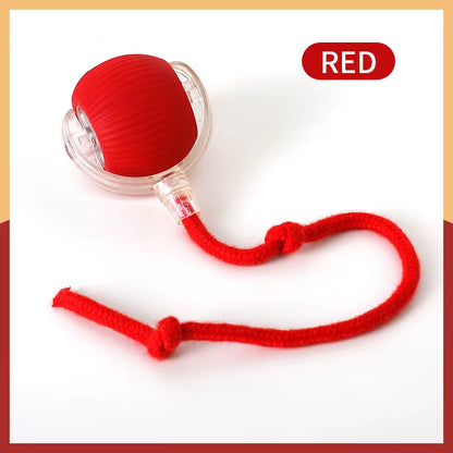 Cat Interactive Ball Toy; Automatic Rolling Ball Pet Toy for Cats and Dogs; Rechargeable Smart Pet Toy; Dog and Cat Training Toy