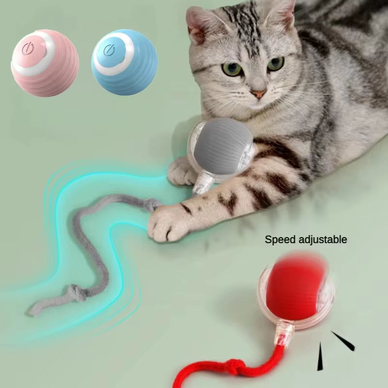 Cat Interactive Ball Toy; Automatic Rolling Ball Pet Toy for Cats and Dogs; Rechargeable Smart Pet Toy; Dog and Cat Training Toy